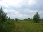 DSC05249.jpg