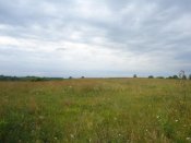 DSC05252.jpg