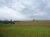 DSC05254.jpg