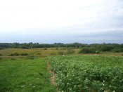 DSC05270.jpg