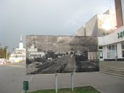 IMG_5463.jpg
