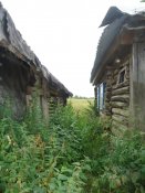 DSC05285.jpg