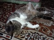 IMG_20181021_161739.jpg