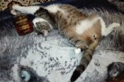 IMG_20180709_235013.jpg