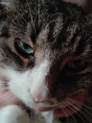 IMG_20180728_131742.jpg