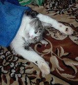 IMG_20180109_000317.jpg