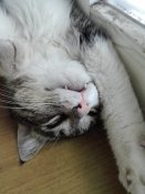 IMG_20170803_134450.jpg