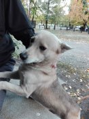 IMG_20171011_164525.jpg