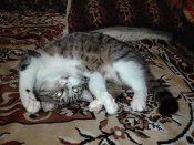 IMG_20171224_180248.jpg