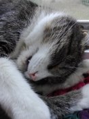 IMG_20180616_175346.jpg