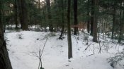 IMG_20190208_160000.jpg