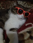 IMG_20180226_205322.jpg
