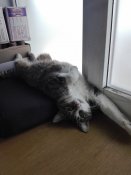 IMG_20170803_132524.jpg