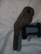 IMG_20190207_201025.jpg