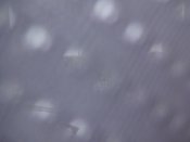DSC01488.JPG