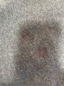 IMG_5735.jpeg