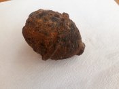 20190210_142712.jpg