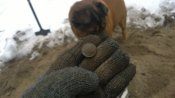 WP_20190209_13_06_55_Pro.jpg