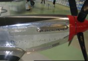 IMG_8167_jpg-1.jpg