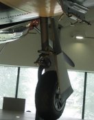 IMG_8188_jpg-1.jpg