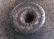 SDC12747.jpg
