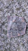 DSC_3530.JPG