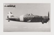 7_Flugzeug-Fiat-G-50_1.jpg