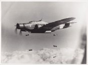 9_Cant-Z-1007-Regia-Aeronautica-Aviazione-Militare.jpg