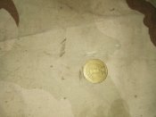 IMG_20190213_010146.jpg