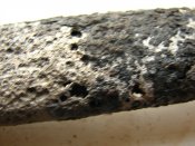 IMG_2521.jpg
