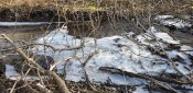 20190215_143019.jpg