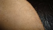 DSC05184.JPG