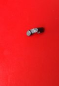 DSC04891.jpg