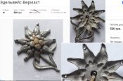 эдельвейс (2).jpg