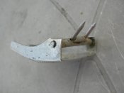 DSCN3137.jpg
