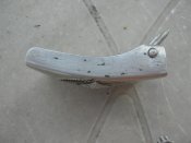 DSCN3138.jpg