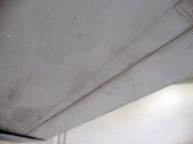P1200181.jpg