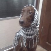 FB_IMG_1550523020911.jpg