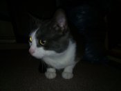 IMG_20190219_212853.jpg