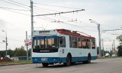 3128.jpg