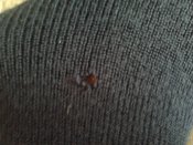 2012-09-04 12.32.24.jpg