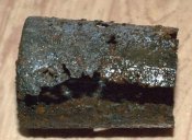 DSC_7081.jpg