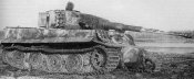 962aa717aa55.jpg