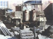 Tiger_hodovaya_09.jpg