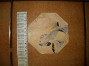 DSCN1544.JPG