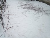 IMG_20190225_124318.jpg