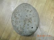 mosika_8.jpg