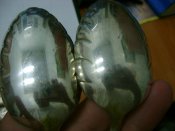 DSC07870.jpg