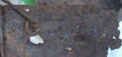 DSC_7105.jpg