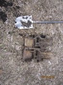 болото 005.JPG